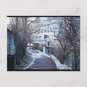 Providence River Walk Postcard Postkarte