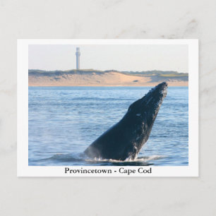 Provincetown - Postkarte für Cape Cod