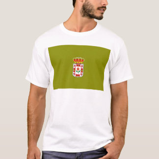 Provinzielle Flagge Granadas (Spanien) T-Shirt
