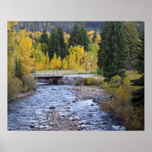 Provo-Fluss und Aspen-Bäume Poster