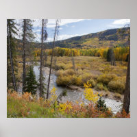 Provo-Fluss und Aspen-Bäume
