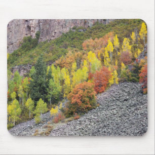 Provo-Fluss und Espen Mousepad