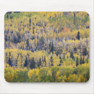 Provo-Fluss und Espen Mousepad