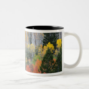 Provo-Fluss und Espen Zweifarbige Tasse