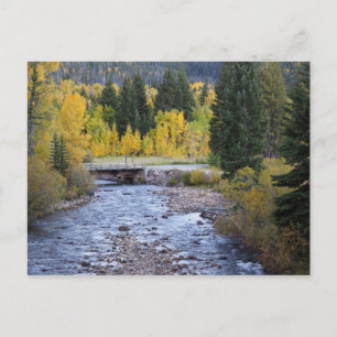 Provo River und Espen Postkarte