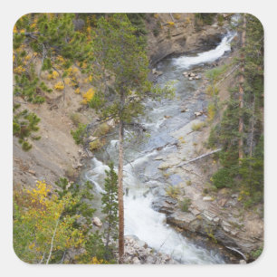 Provo River und Espen Quadratischer Aufkleber