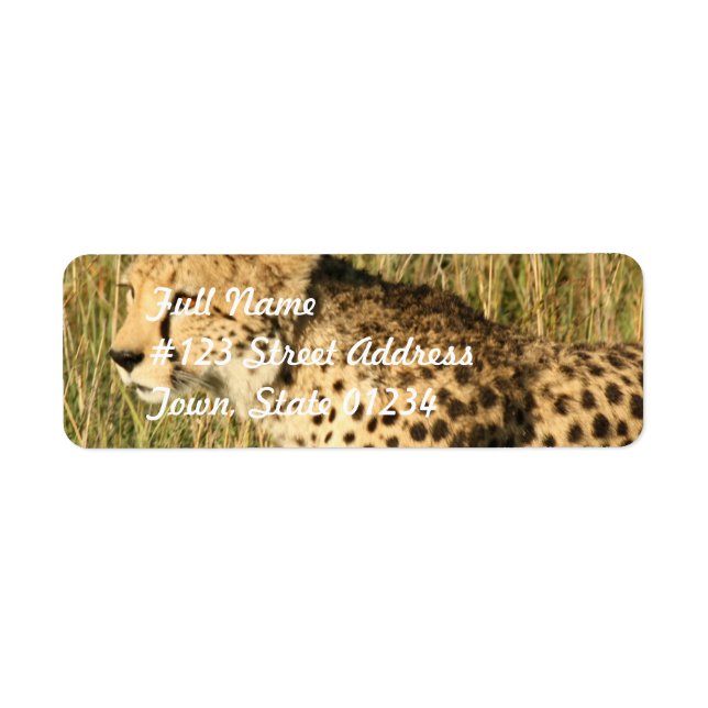 Prowling Cheetah Mailing Label (Vorne)