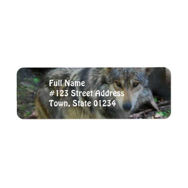 Prowling Wolf Mailing Labels (Vorne)