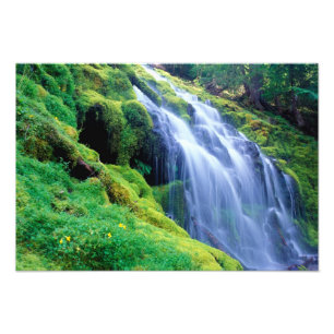 Proxy Falls in der zentralen Oregon Cascades. Fotodruck