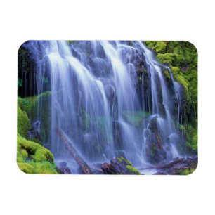 Proxy Falls in Oregons zentralen Cascade Mountains Magnet