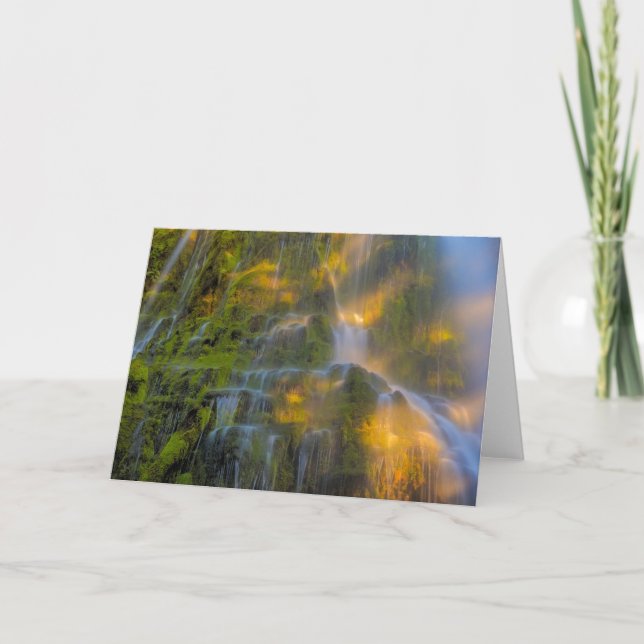 Proxy Falls Three Sisters Wilderness Oregon Karte (Vorderseite)