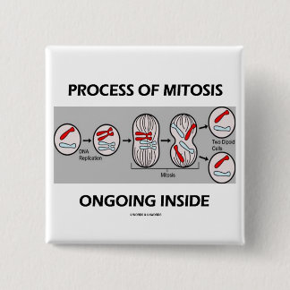 Prozess des Mitose-laufenden Inneres Button