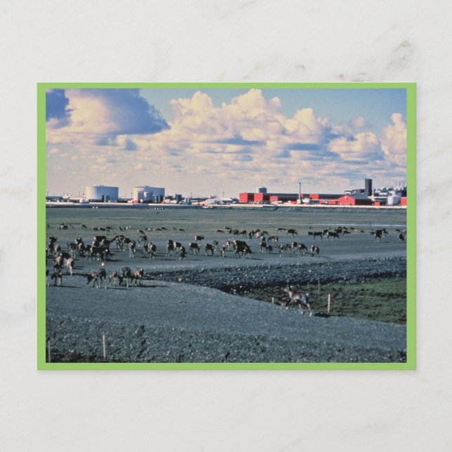 Prudhoe Bay, Alaska Postkarte (Vorderseite)