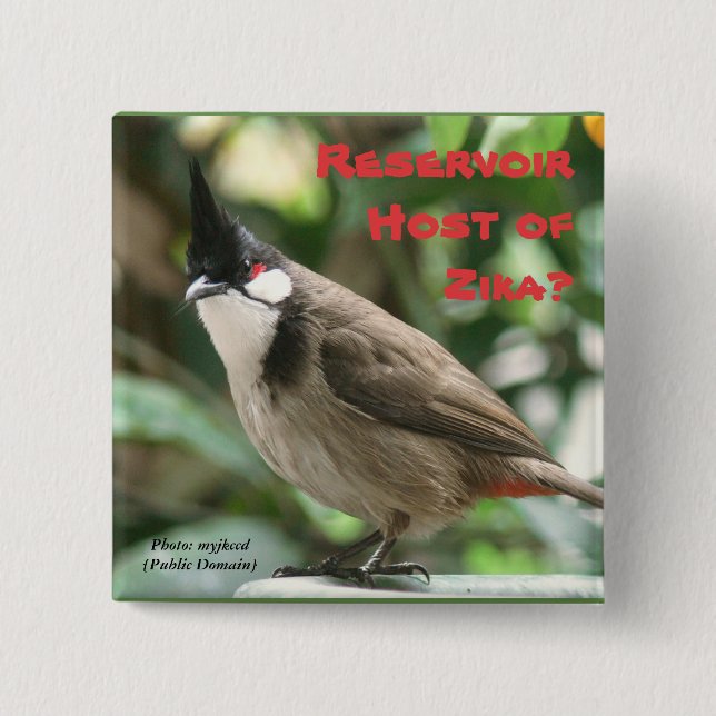 Prüfen Sie Rote-Whiskered Bulbuls durch RoseWrites Button (Vorderseite)