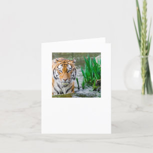 Prüfung Dankeskarte