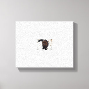 Prüfung Leinwanddruck