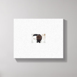 Prüfung Leinwanddruck