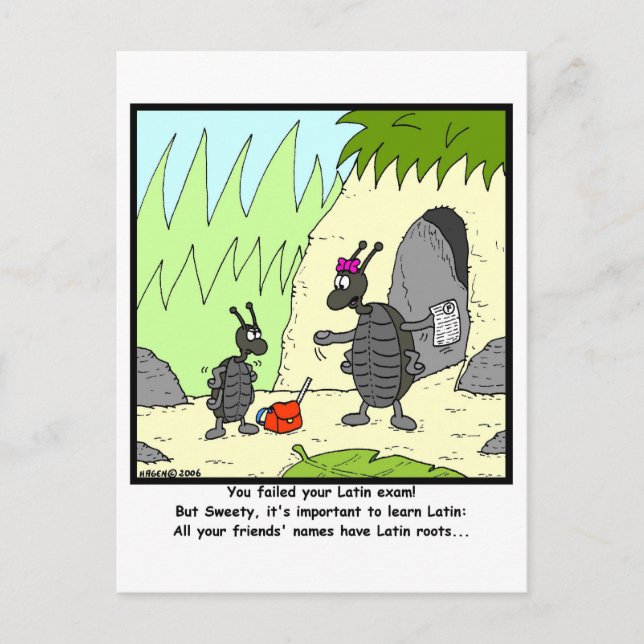 Prüfung nach Lateinamerika Postkarte (Vorderseite)