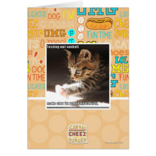 Prüfung owt sunbaff