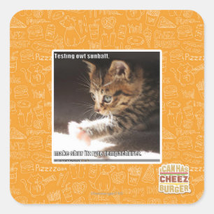 Prüfung owt sunbaff quadratischer aufkleber