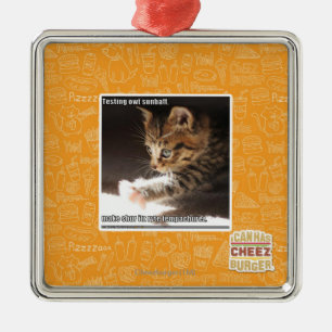 Prüfung owt sunbaff silbernes ornament