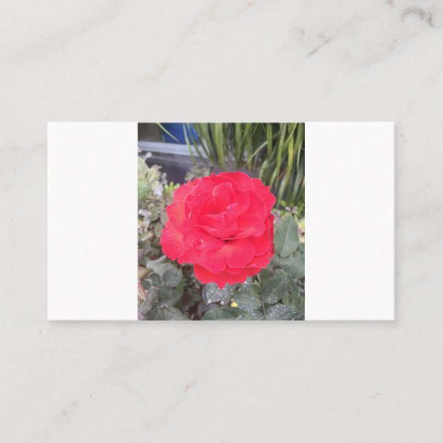 Prüfung Visitenkarte (Vorderseite)