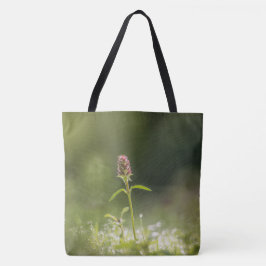 Prunella Blume Natur Foto