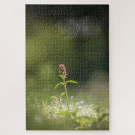 Prunella Blume Natur Foto Puzzle