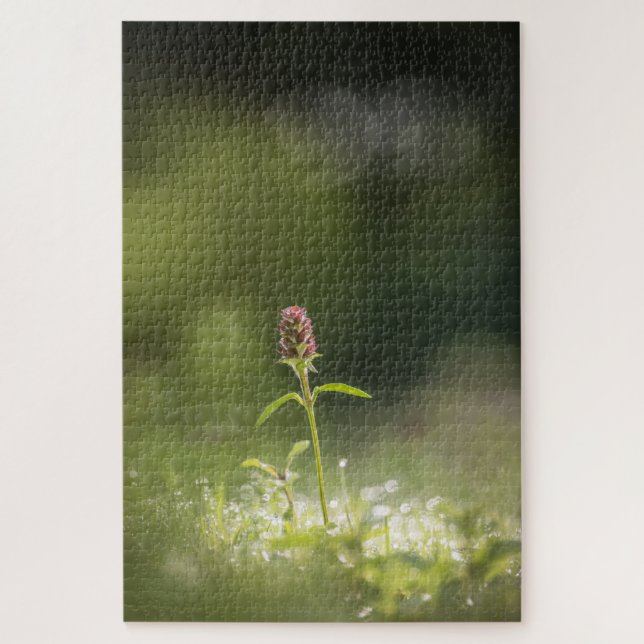 Prunella Blume Natur Foto Puzzle (Vertikal)