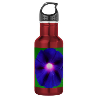 Prunkwinde-Blüte Edelstahlflasche
