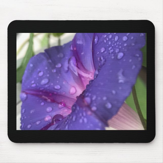 Prunkwinde Morgenröte Mousepad (Vorne)