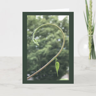 Prunkwinde Ranke und Blatt Blanko Karte