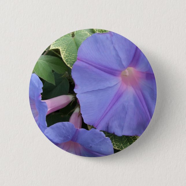 Prunkwinden-Knopf Button (Vorderseite)