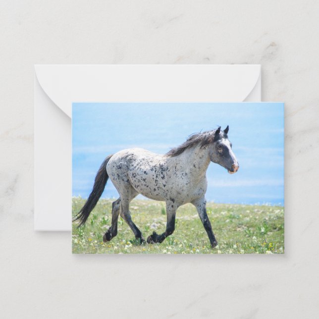 Pryor Mountain Wild Mustang Mica/Mato Ska Mitteilungskarte (Vorderseite)