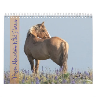 Pryor Mountain Wilde Pferde Kalender