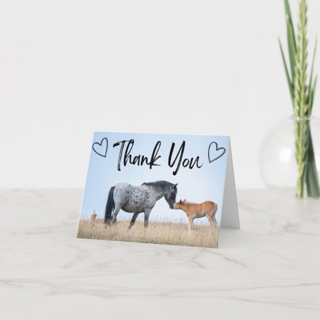 Pryor Mountain Wildes Pferd Danke Karte (Vorderseite)