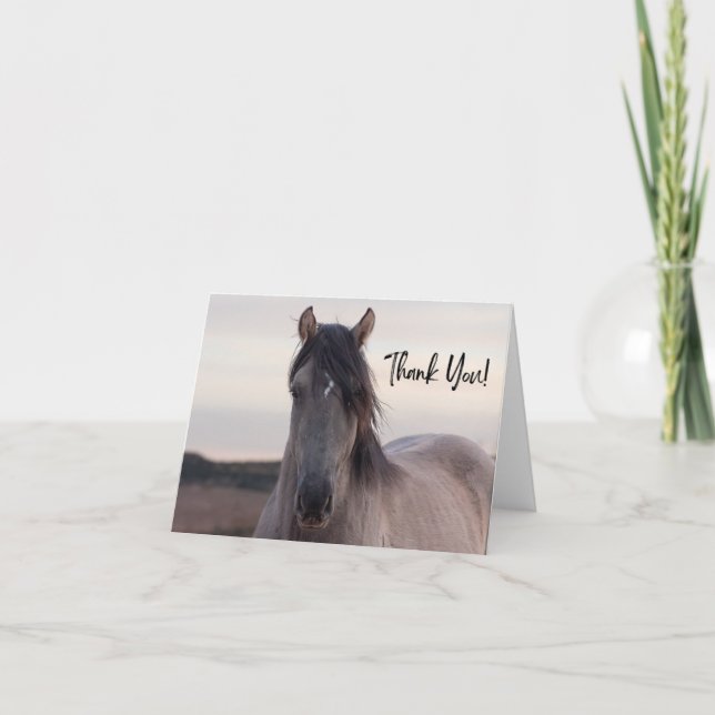 Pryor Mountain Wildes Pferd Danke Karte (Vorderseite)