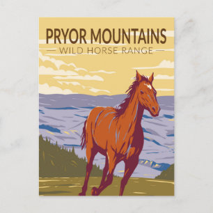 Pryor Mountains Wild Horse Range Vintage Postkarte