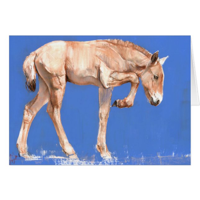 Przewalski Fohlen 2012 (Vorderseite (Horizontal))