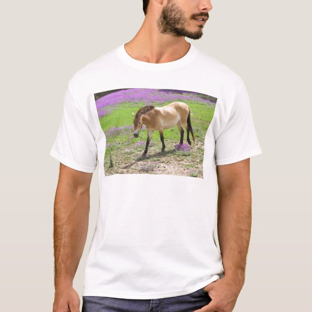 Przewalski Pferd T-Shirt (Vorderseite)