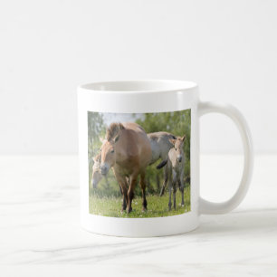Przewalski-Pferd und Fohlen beim Gehen Tasse
