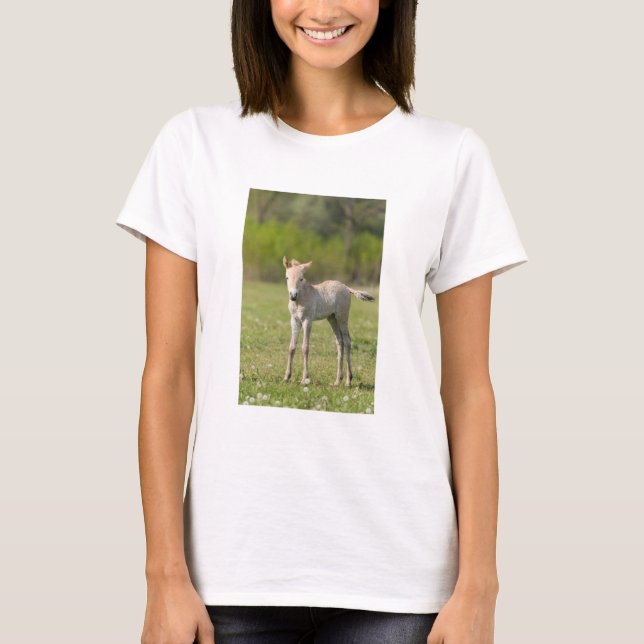 Przewalskis Foal, Ungarn T-Shirt (Vorderseite)