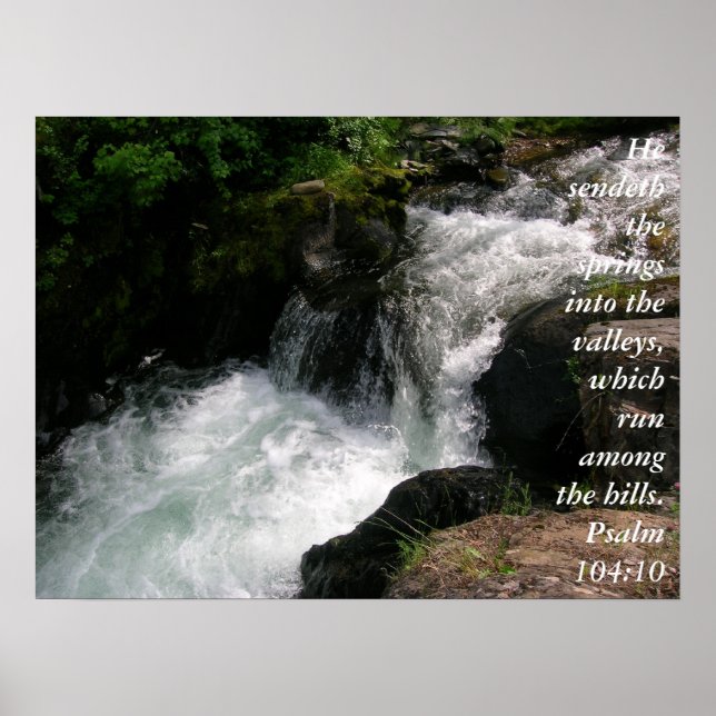 Psalm 104:10 Poster (Vorne)