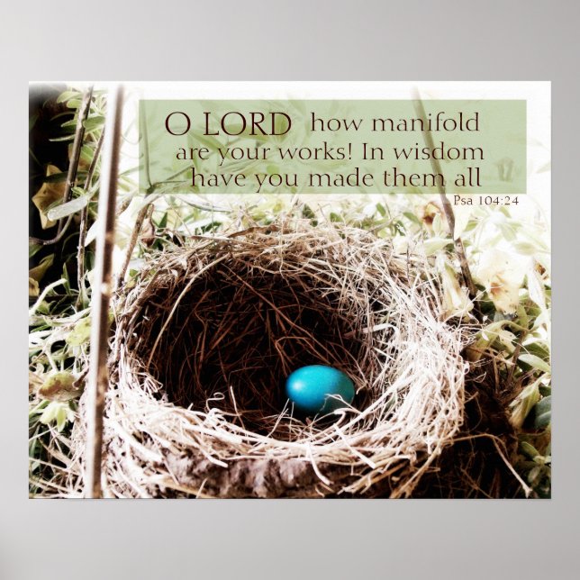 Psalm 104:24 poster (Vorne)