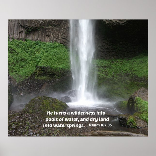 Psalm 107:35 Er verwandelt die Wildnis in.. Poster (Vorne)