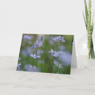 Psalm 115:15 mit blauen Blumen Grußkarte Karte