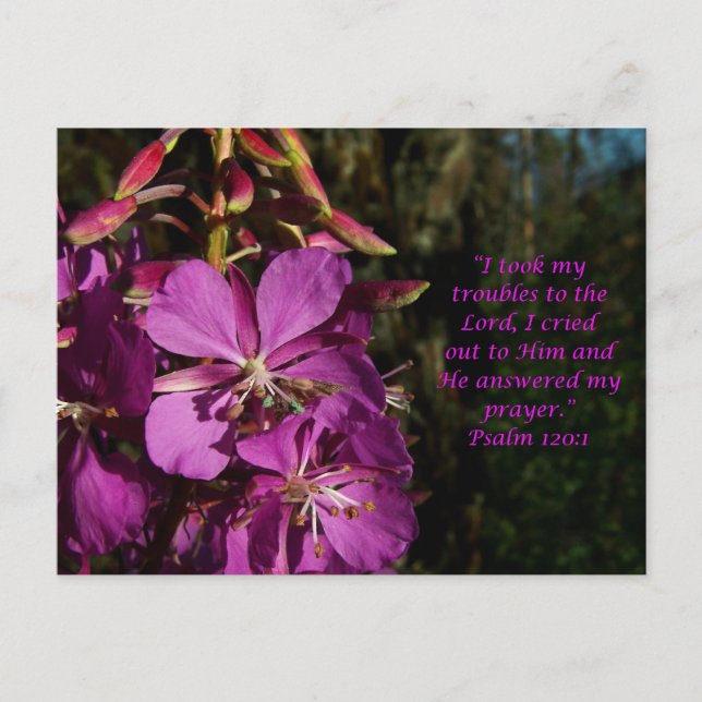 Psalm 120:1 Psalm der Ermutigung Postkarte (Vorderseite)
