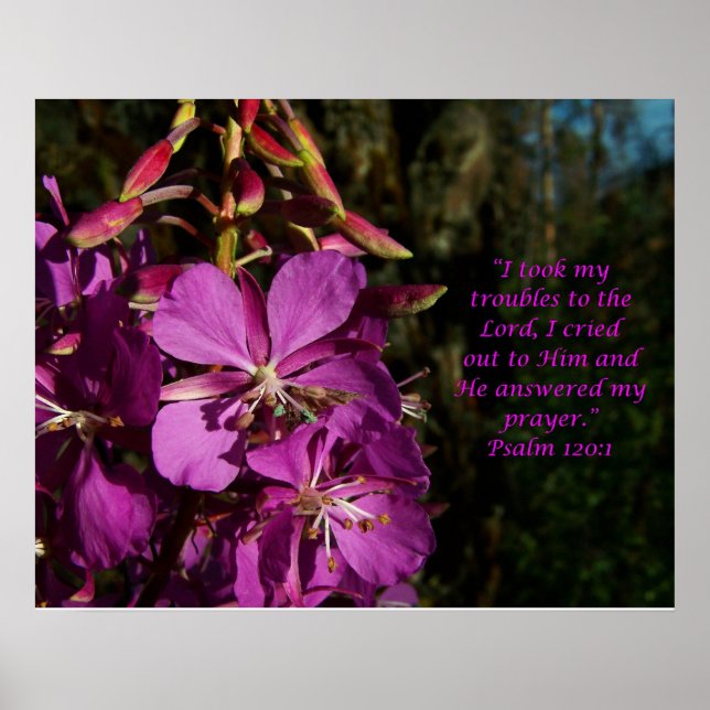 Psalm 120:1 Psalm des Blume-Posters Poster (Vorne)