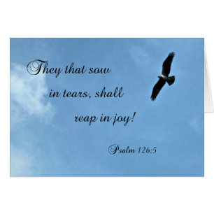 Psalm 126:5 Wer in Tränen sät, wird ernten...