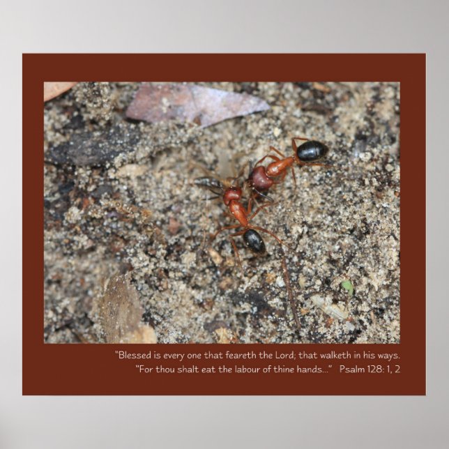 Psalm 128: 1, 2 Schriftsatz Poster (Vorne)